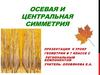Осевая и центральная симметрия. Симметричность точек относительно прямой