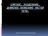 Слитное, раздельное, дефисное написание частей речи