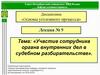 Участие сотрудника органа внутренних дел в судебном разбирательстве. Лекция № 9