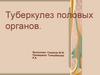 Туберкулез половых органов