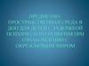 Предметно-пространственная среда в ДОО для детей с ЗПР при ознакомлении с окружающими миром