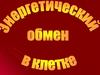 Энергетический обмен в клетке