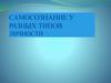 Самосознание у разных типов личности