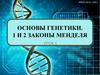 Основы генетики. 1 и 2 законы Менделя