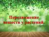 Понятие транспортной (проводящей) системы у растений  (6 класс)