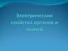 Электрические свойства органов и тканей