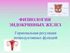 Физиология эндокринных желез