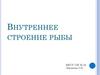 Внутреннее строение рыбы