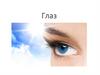 Глаз. Строение глаза. Хрусталик глаза
