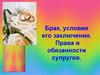 Брак, условия его заключения. Права и обязанности супругов. 11 класс