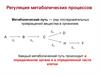 Регуляция метаболических процессов