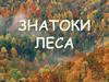 Знатоки леса