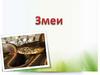 Зме́и - подотряд пресмыкающихся отряда чешуйчатые