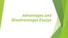 Advantages and Disadvantages Essays