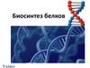 Биосинтез белков. 9 класс
