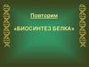 Биосинтез белка. Функции белка