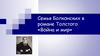 Семья Болконских в романе Толстого «Война и мир»