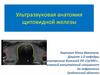 Ультразвуковая анатомия щитовидной железы