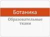 Образовательные ткани. Ботаника