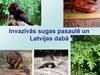 Invazīvās sugas pasaulē un Latvijas dabā