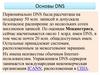 Основы DNS