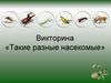 Викторина «Такие разные насекомые»
