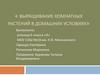 Выращивание комнатных растений в домашних условиях