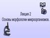 Основы морфологии микроорганизмов. Лекция 2