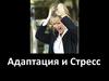 Адаптация и Стресс