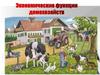 Экономические функции домохозяйств