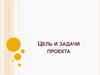 Цель и задачи проекта