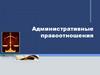 Административные правоотношения