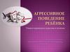 Агрессивное поведение ребёнка. Учимся переводить агрессию в позитив