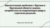 Экологическая проблема г. Кургана и Курганской области