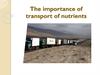The importance of transport of nutrients
