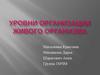 Уровни организации живого организма