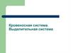 Кровеносная система. Выделительная система