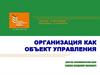 Организация как объект управления