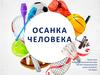 Осанка человека. Нарушение осанки - отклонения в положении позвоночника