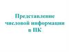 Представление числовой информации в ПК