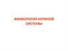 Физиология нервной системы. Лекция 4