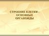 Строение клетки - основные органоиды