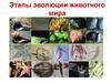 Этапы эволюции животного мира