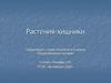 Растения-хищники. К уроку биологии в 6 классе