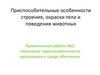 Приспособительные особенности строения, окраски тела и поведения животных. Практическая работа №2