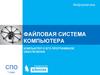 Файловая система компьютера. Компьютер и его программное обеспечение