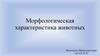 Морфологическая характеристика животных