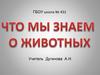 Игра "Что мы знаем о животных?"