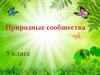 Природные сообщества  (3 класс)
