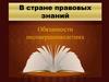 В стране правовых знаний. Обязанности несовершеннолетних
